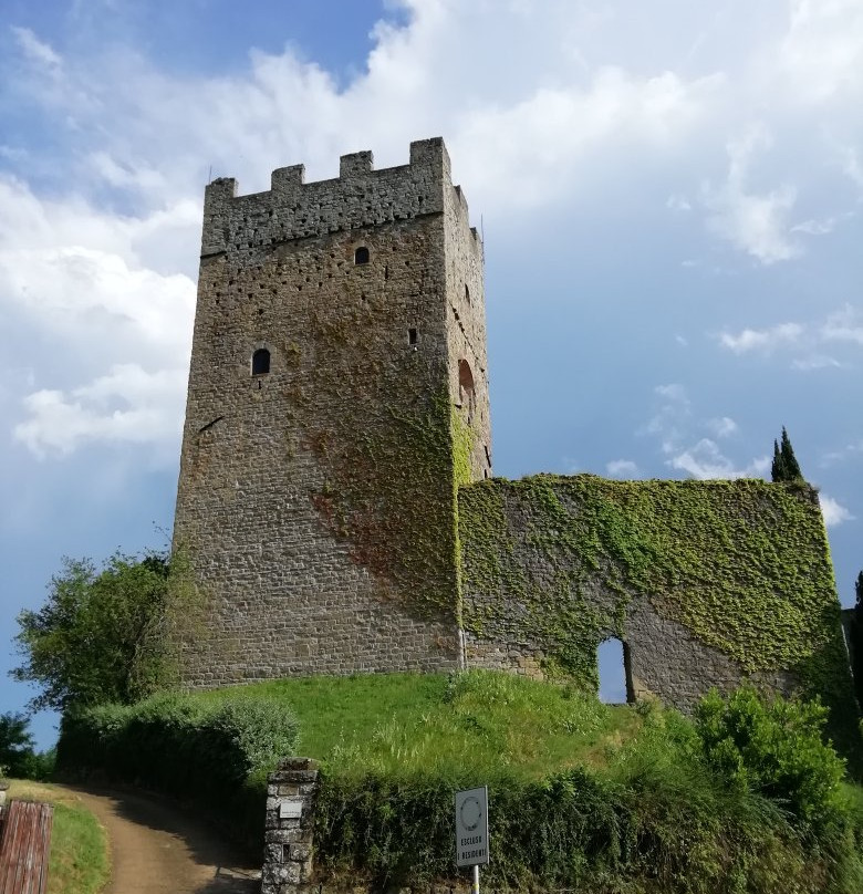 Castello di Porciano景点图片