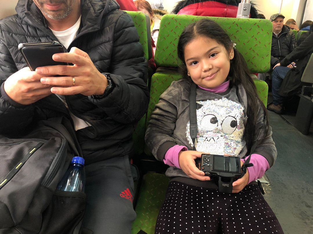 Biotren-康塞普西翁必去景点