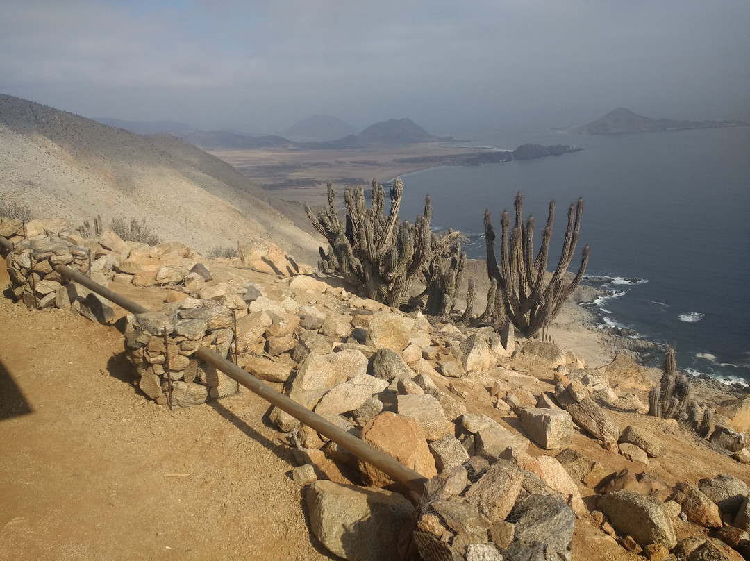 Cactus Explora-Caldera必去景点