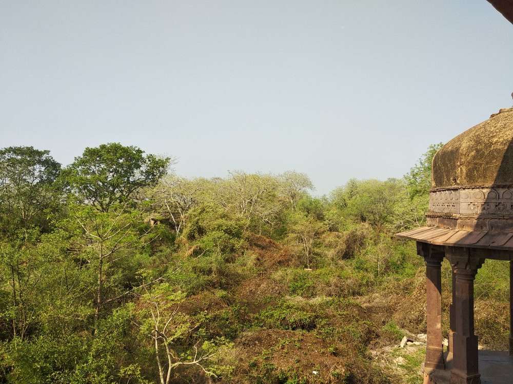Ranthambore Fort景点图片