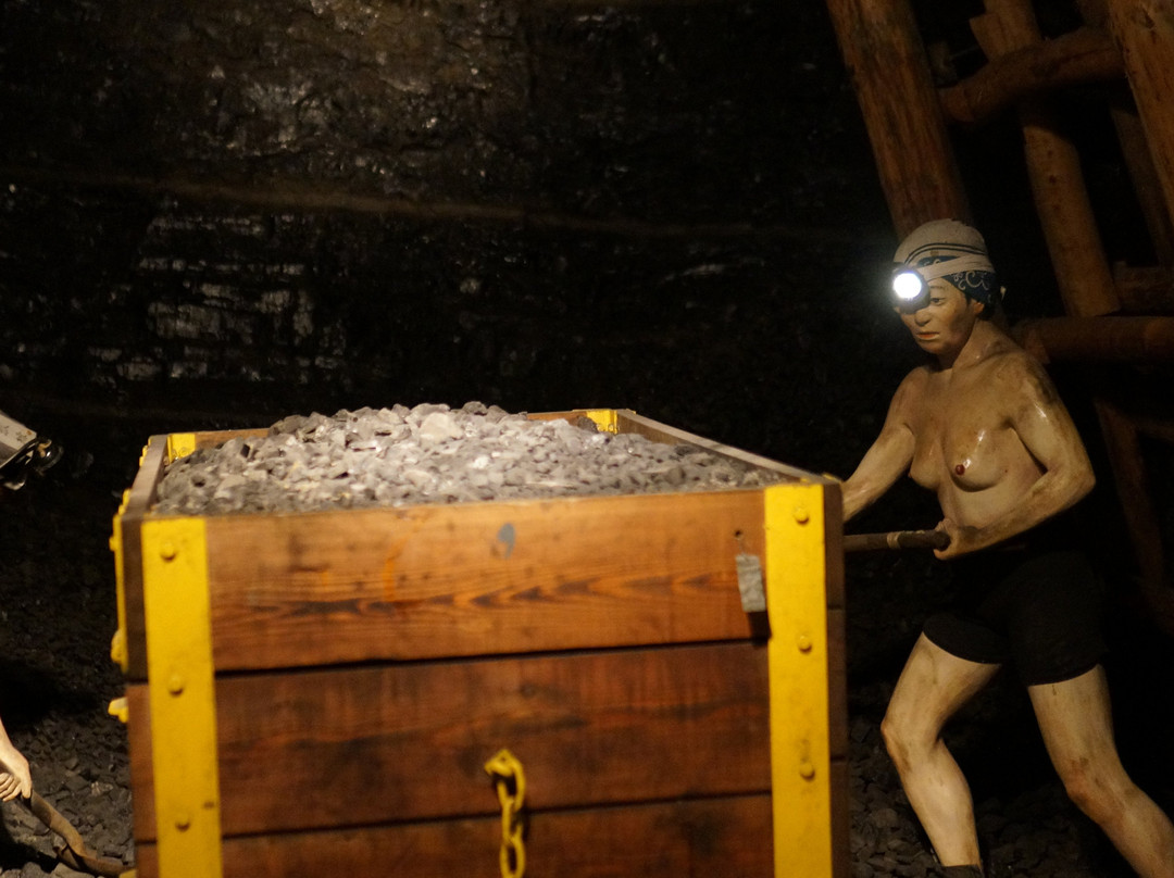 Coal & Fossil Museum-盘城市必去景点