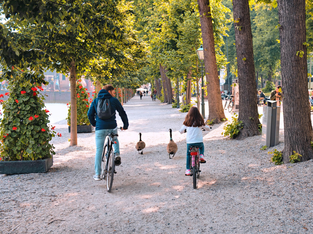 seeTheHague Bike Tours-海牙必去景点