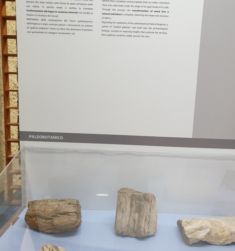 Museo Archeologico e Paleobotanico di Perfugas-Perfugas必去景点