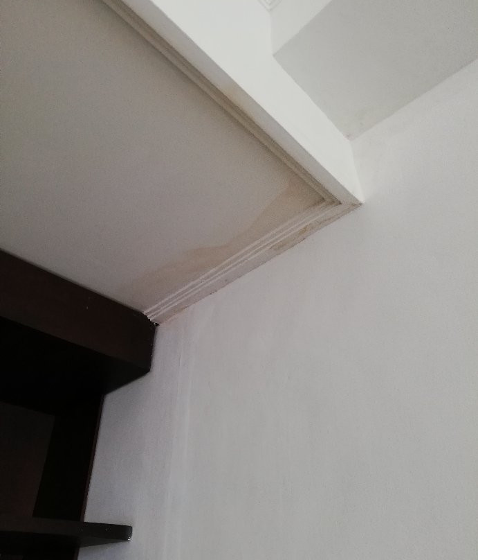 方舟塔酒店主图