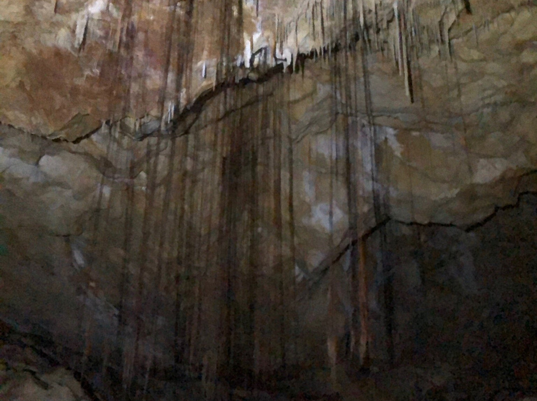 Calgardup Cave景点图片