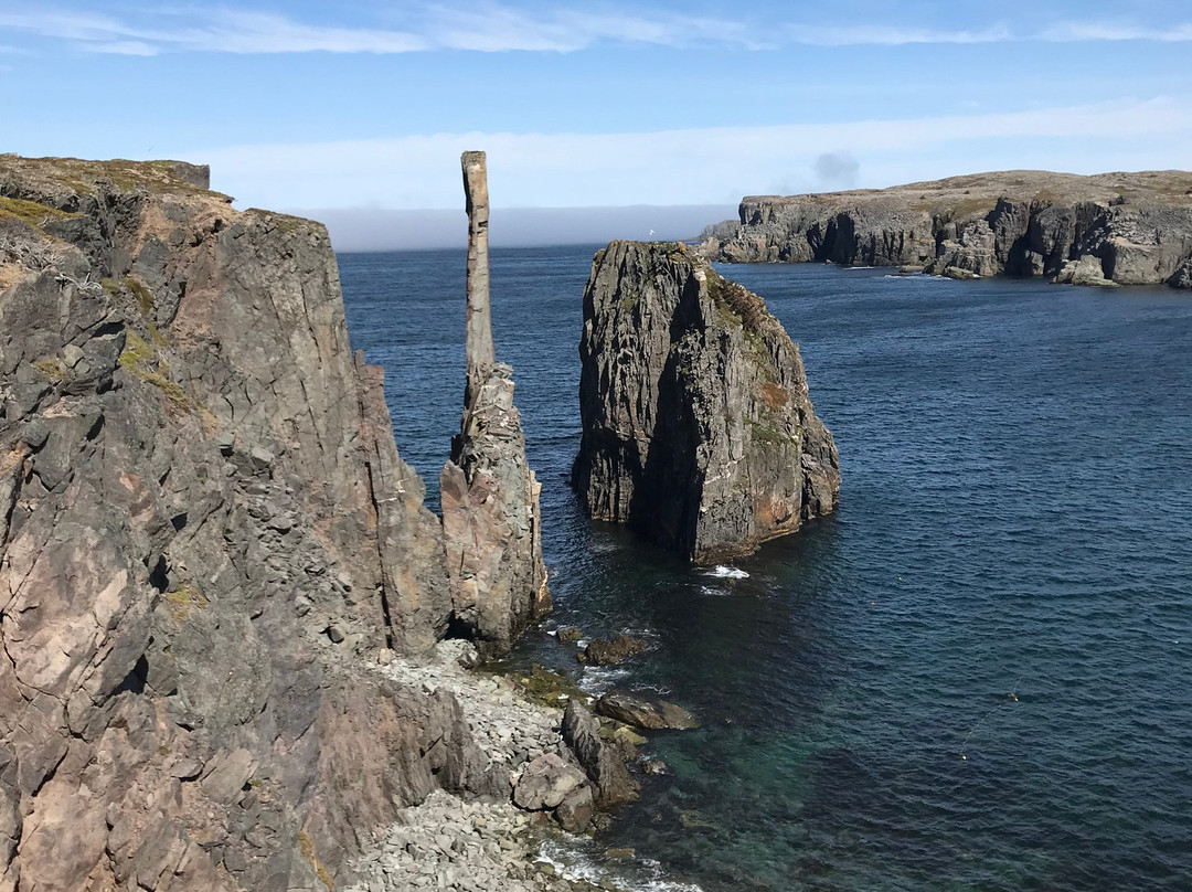 Bonavista Adventure Tours景点图片