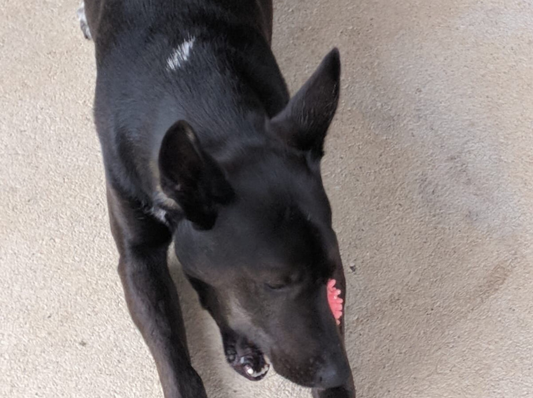 Juniper Hill Stables-Bandera必去景点