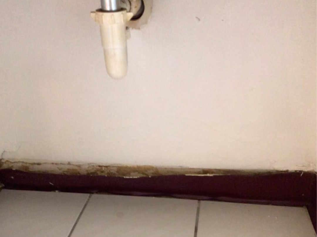 Feather Nest Inn主图