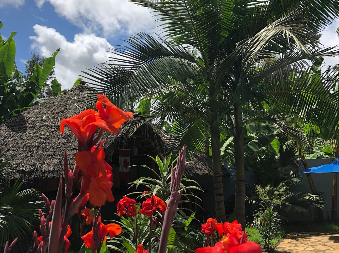 The Vijiji Center Lodge & Safari主图