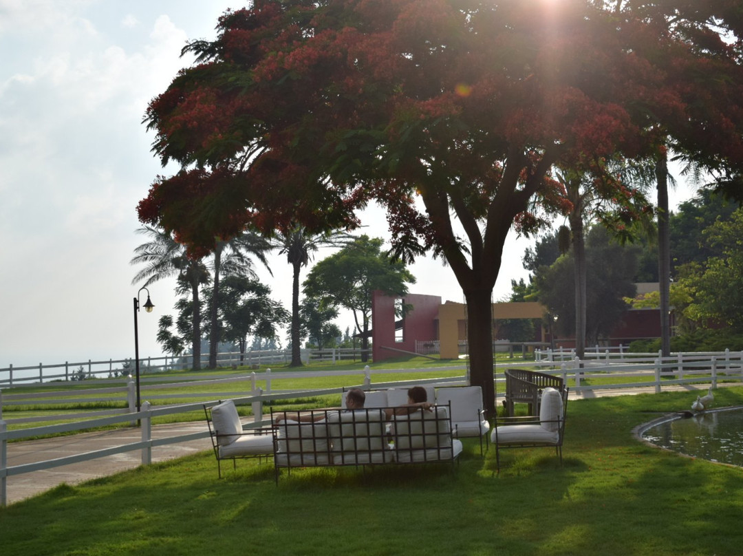 Maaliye旅游攻略图片