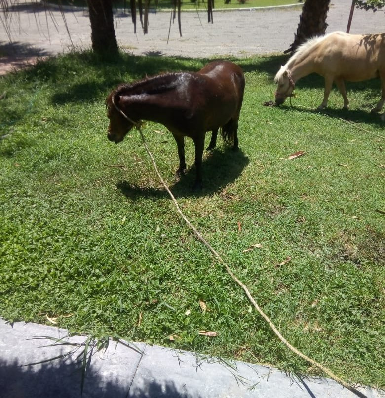 Gran Hotel Las Fuentes主图