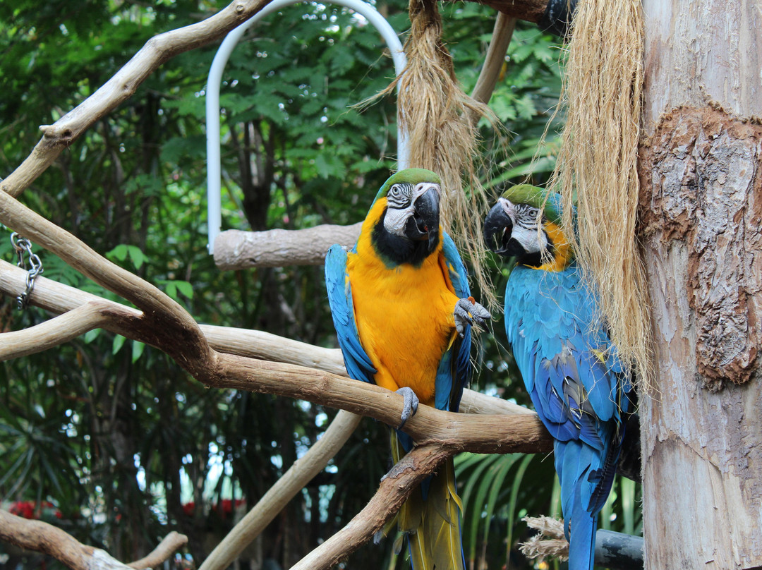 Center Parcs De Kempervennen主图