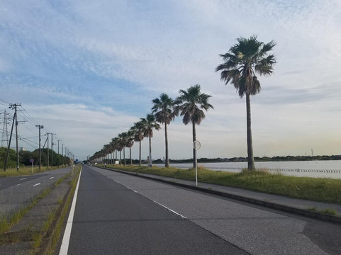 Chibafornia-袖浦市必去景点