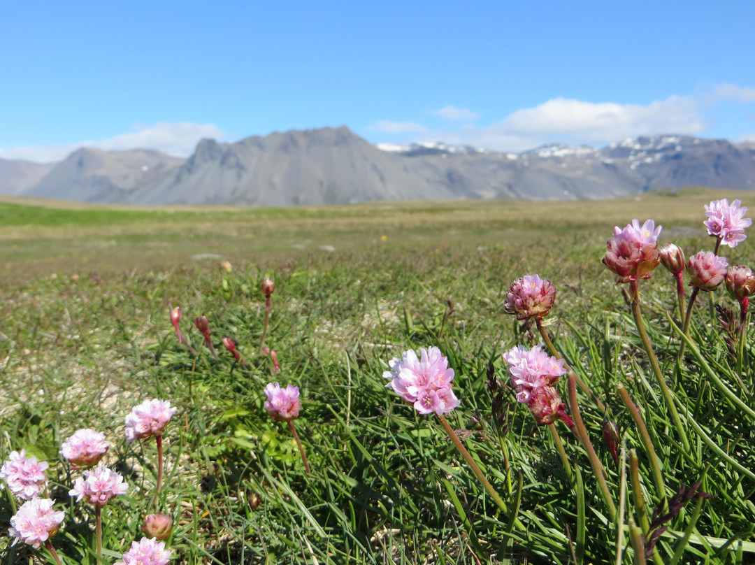 哈玛尔冰岛航空酒店主图