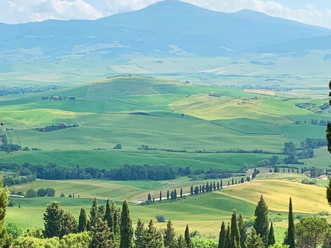 Belitaly Tours & Limo-佛罗伦萨必去景点