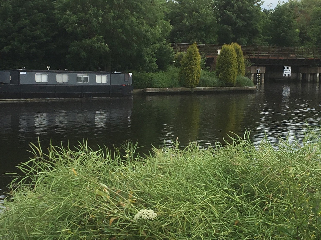 Whitlingham Country Park景点图片