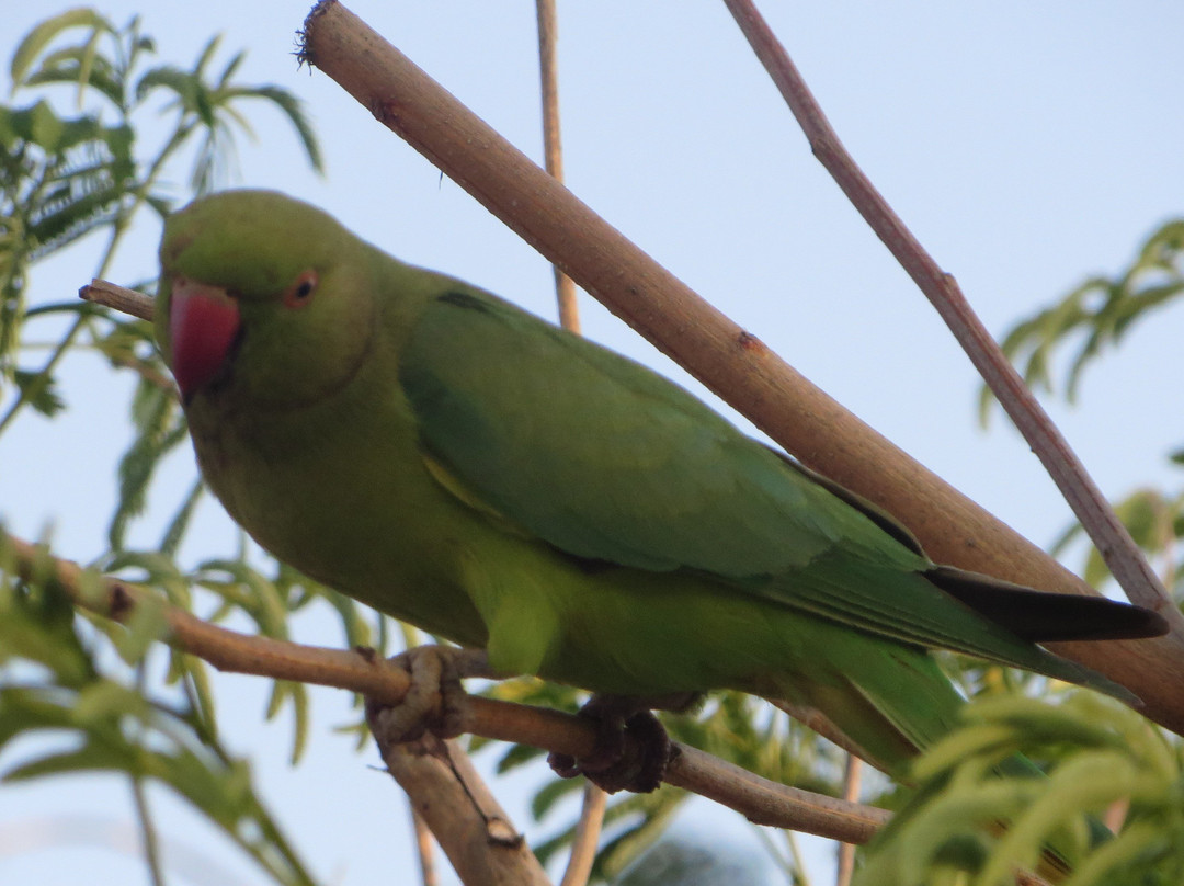 Maagan Kibbutz Holiday Village主图