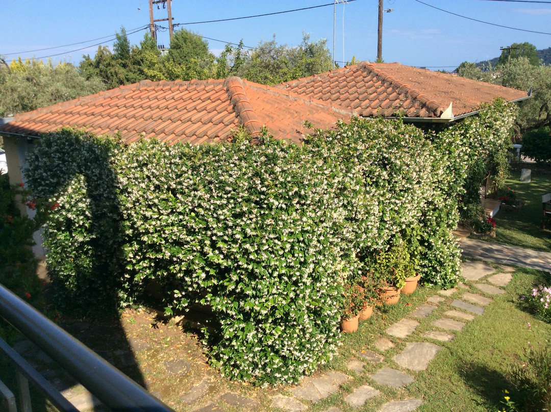 Nostos Studios主图