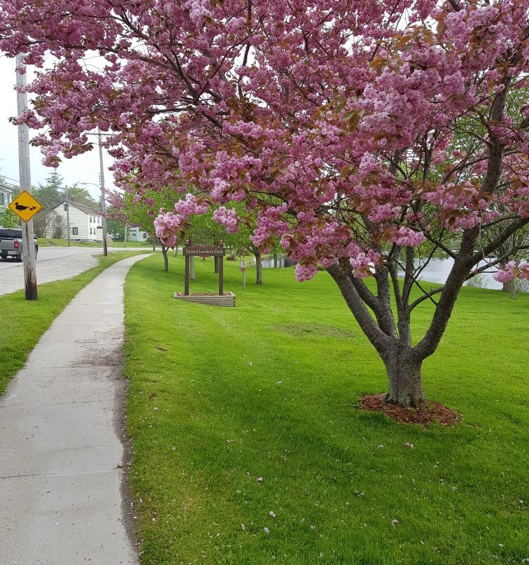 Sealed Landers Park-Yarmouth必去景点