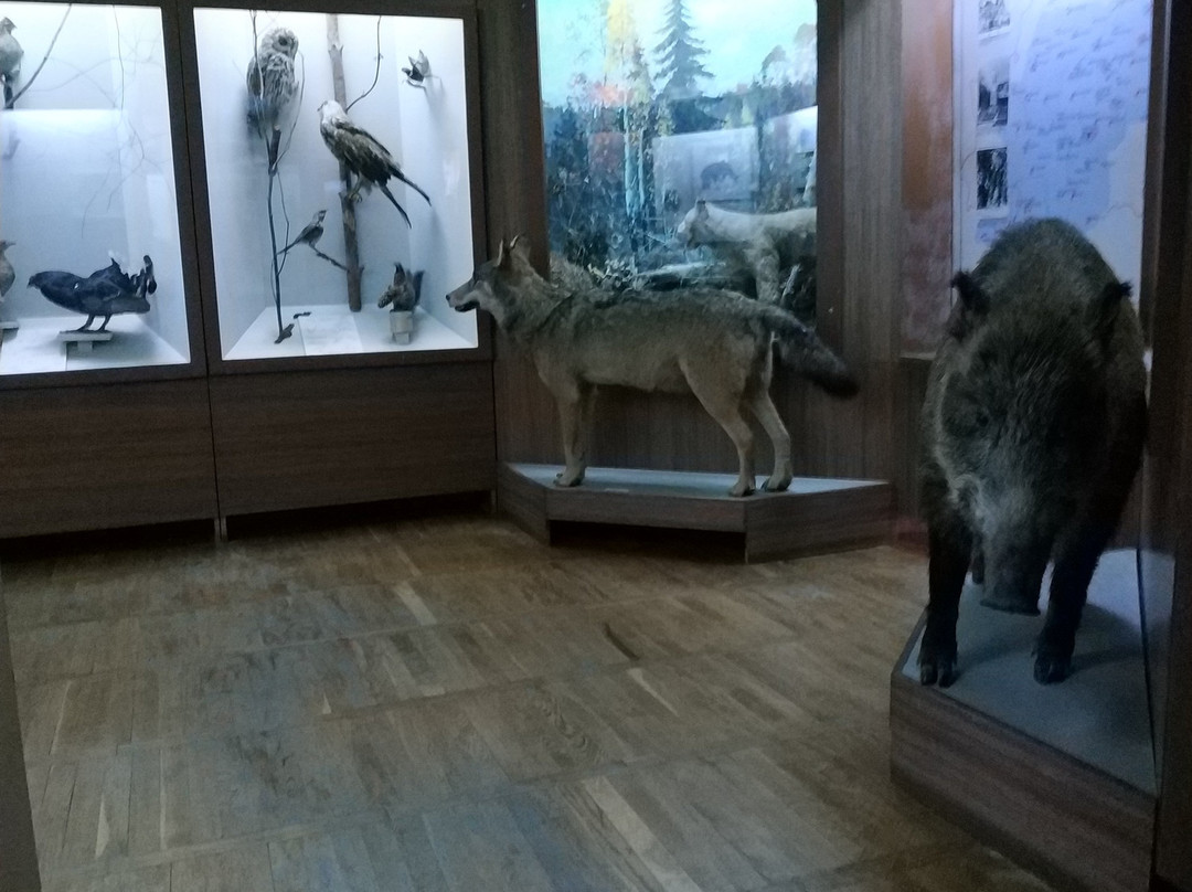 Local Lore Museum-Baranovichi必去景点