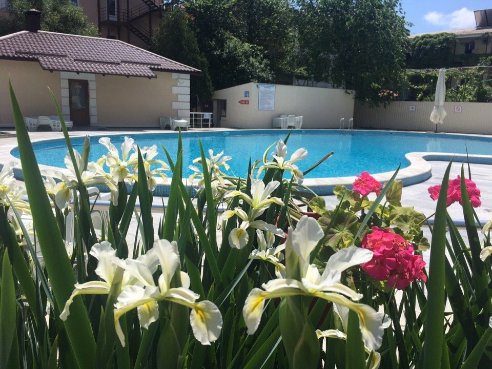 Pension Tvorcheskaya Volna-泳池