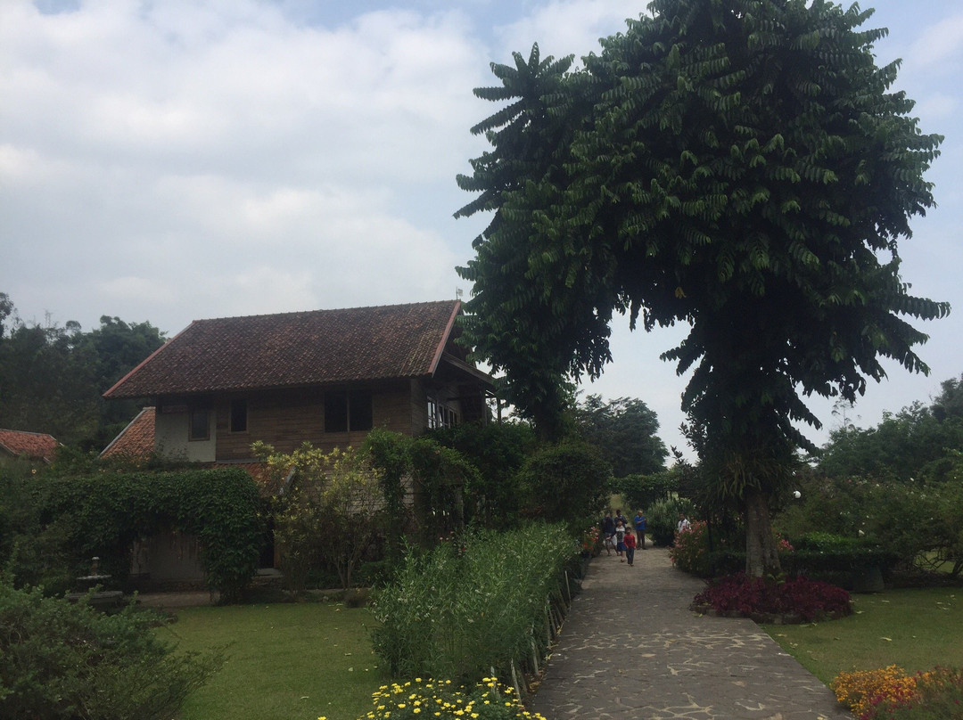 Kebun Mawar Situhapa主图