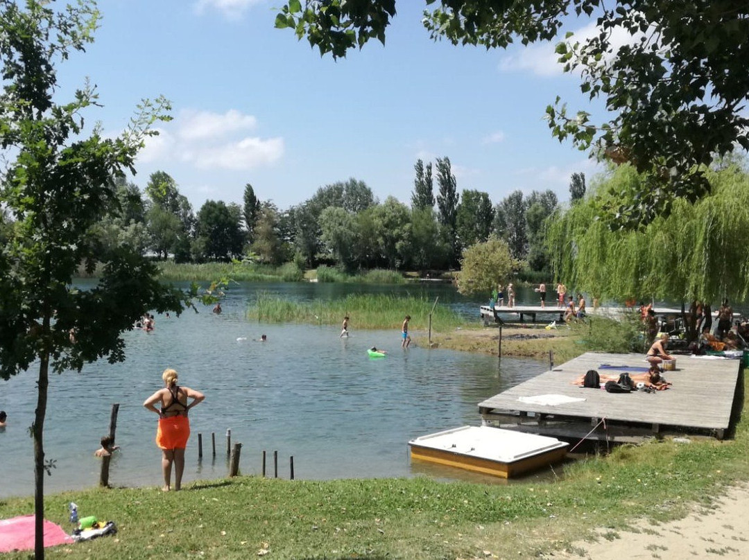 Diving and Swimming at Agriturismo Due Laghi-费拉拉必去景点