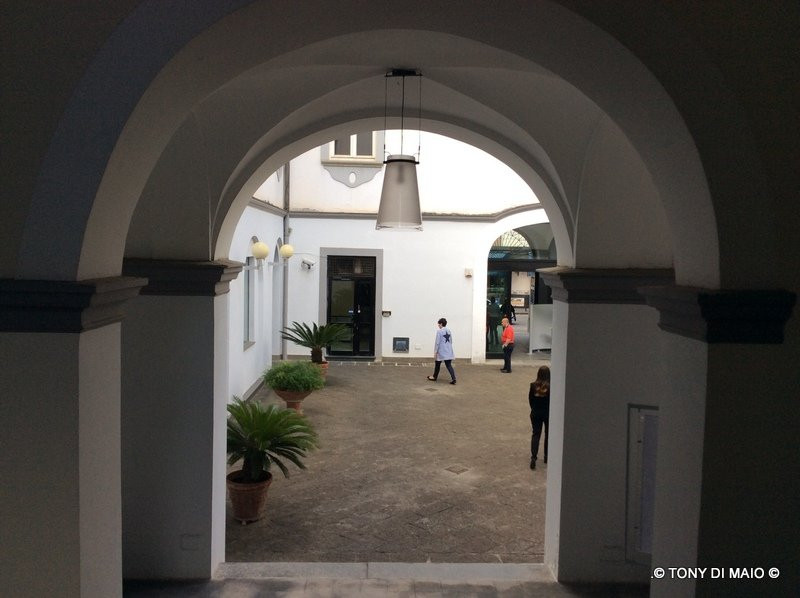 Palazzo Vallelonga景点图片