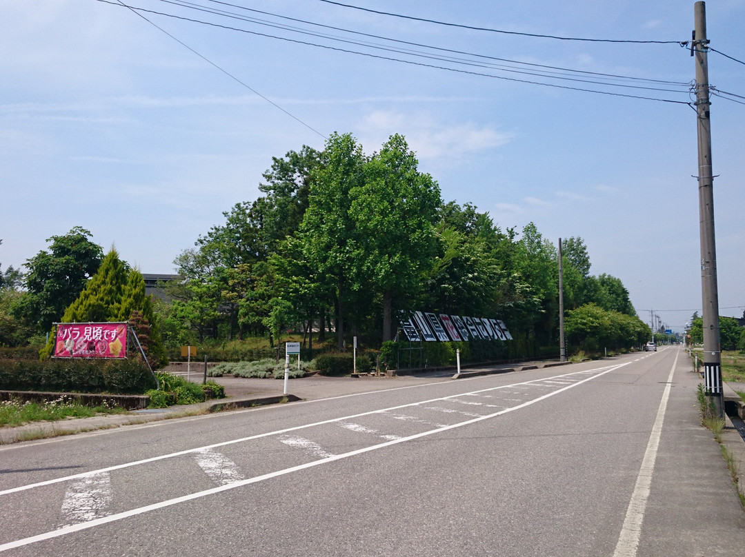 Toyam Prefecture Flower Center景点图片