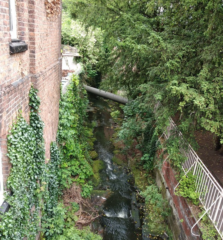 Lymm Heritage Centre景点图片