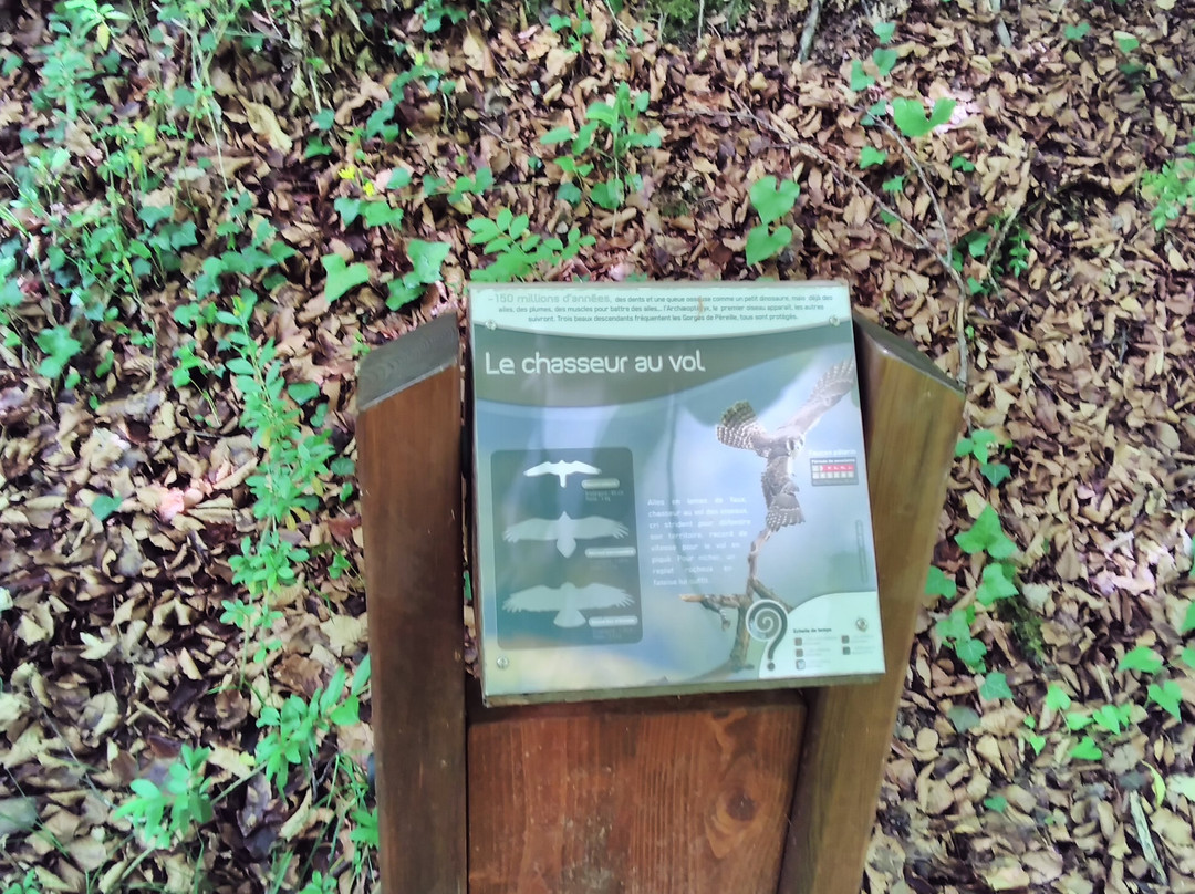 Gorges de Pereille-Roquefixade必去景点