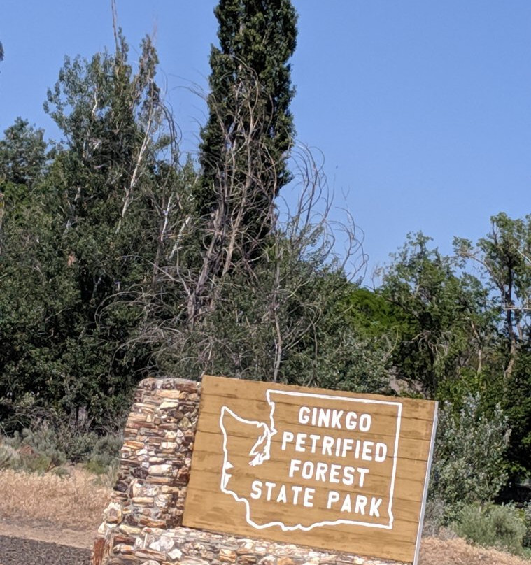 Ginkgo Petrified Forest State Park Interpretive Center景点图片