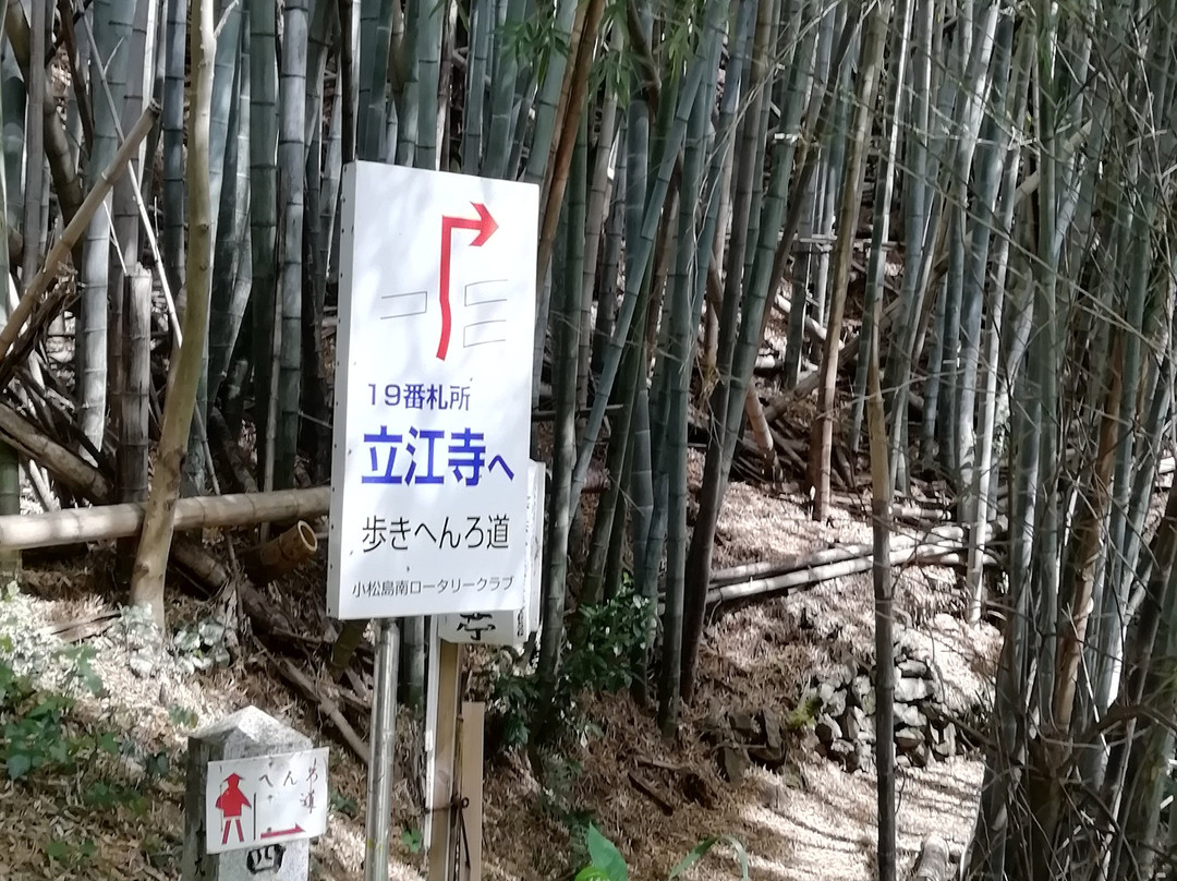 Tsurumaki Slope-小松岛市必去景点
