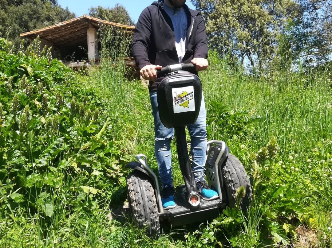 Naturatours Segway & Bikes景点图片