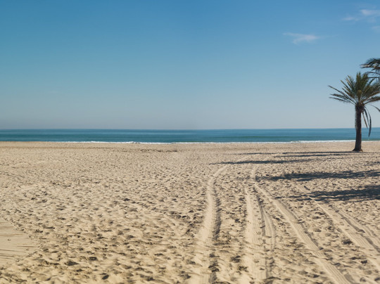 信天翁酒店主图