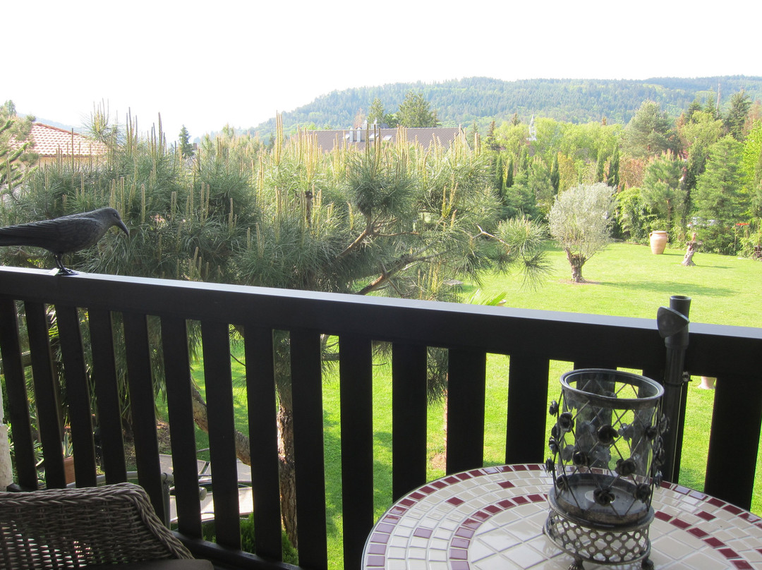 浪漫的国家房子庄园酒店主图