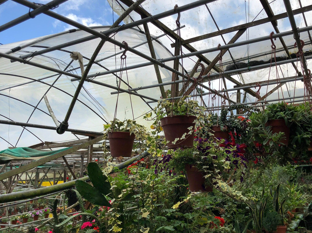 Healthy Strawberry Farm-丹那拉塔必去景点