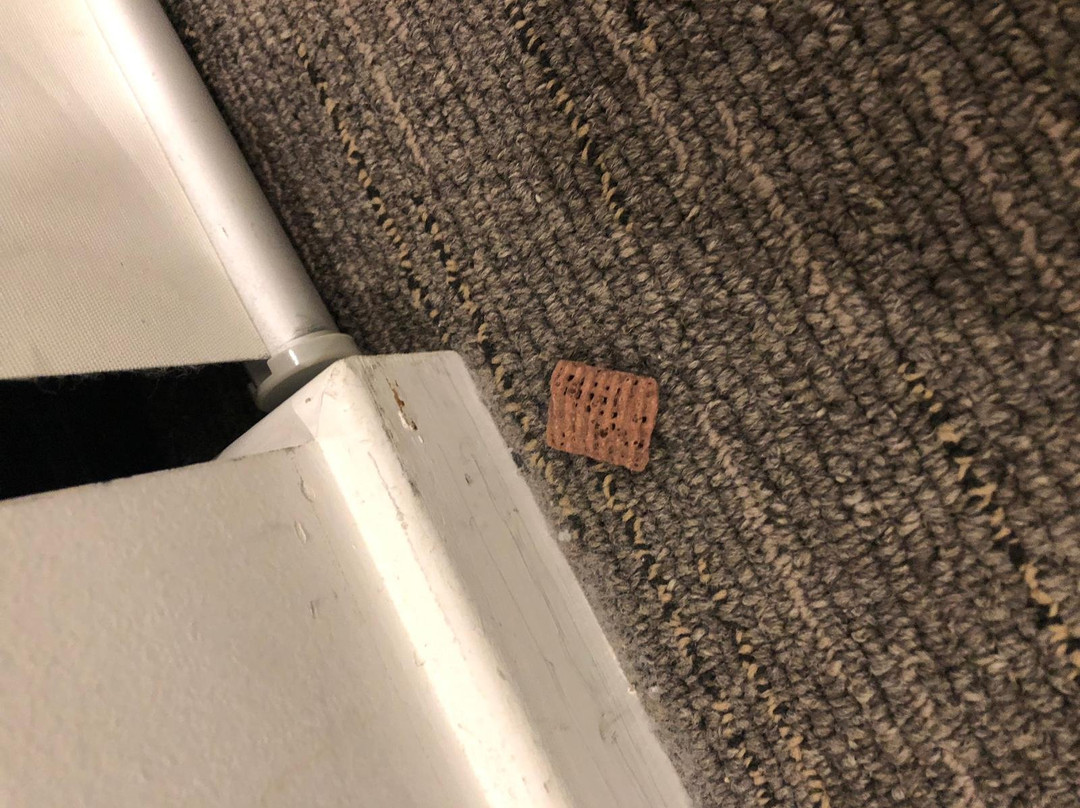 Veriu Camperdown主图