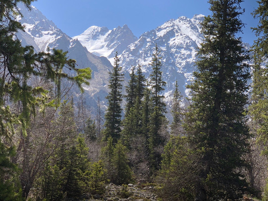 Apple Hostel Tours and Activities-比斯凯克必去景点