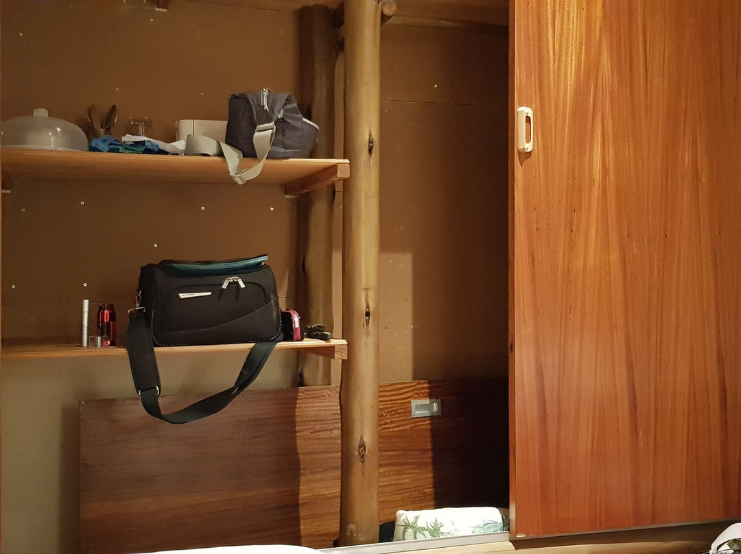 A Traveller's Palm主图