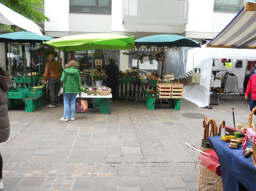 Riehener Dorfmarkt-Riehen必去景点