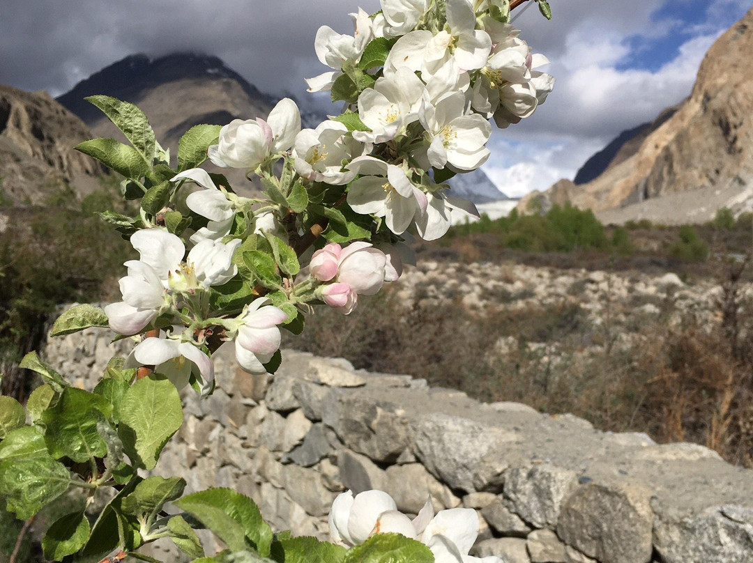 Shisper View Hotel主图