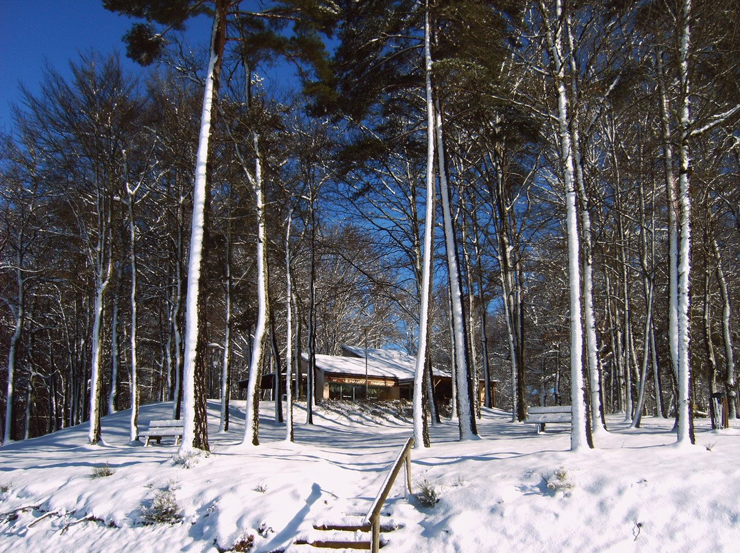 Village Nature Le Maury