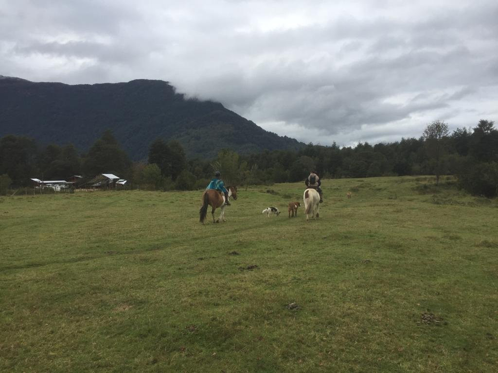 Ecoturismo la Pancha-Puerto Aisen必去景点