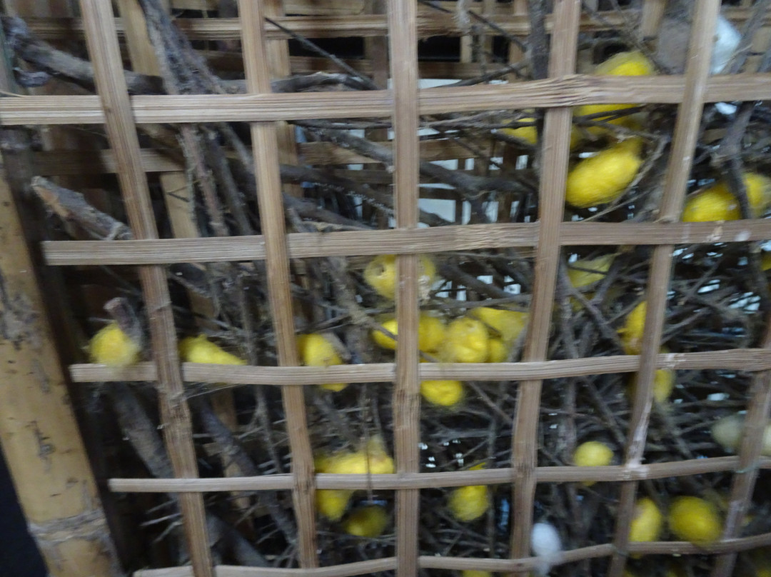 41 Le Loi Fashion-会安必去景点