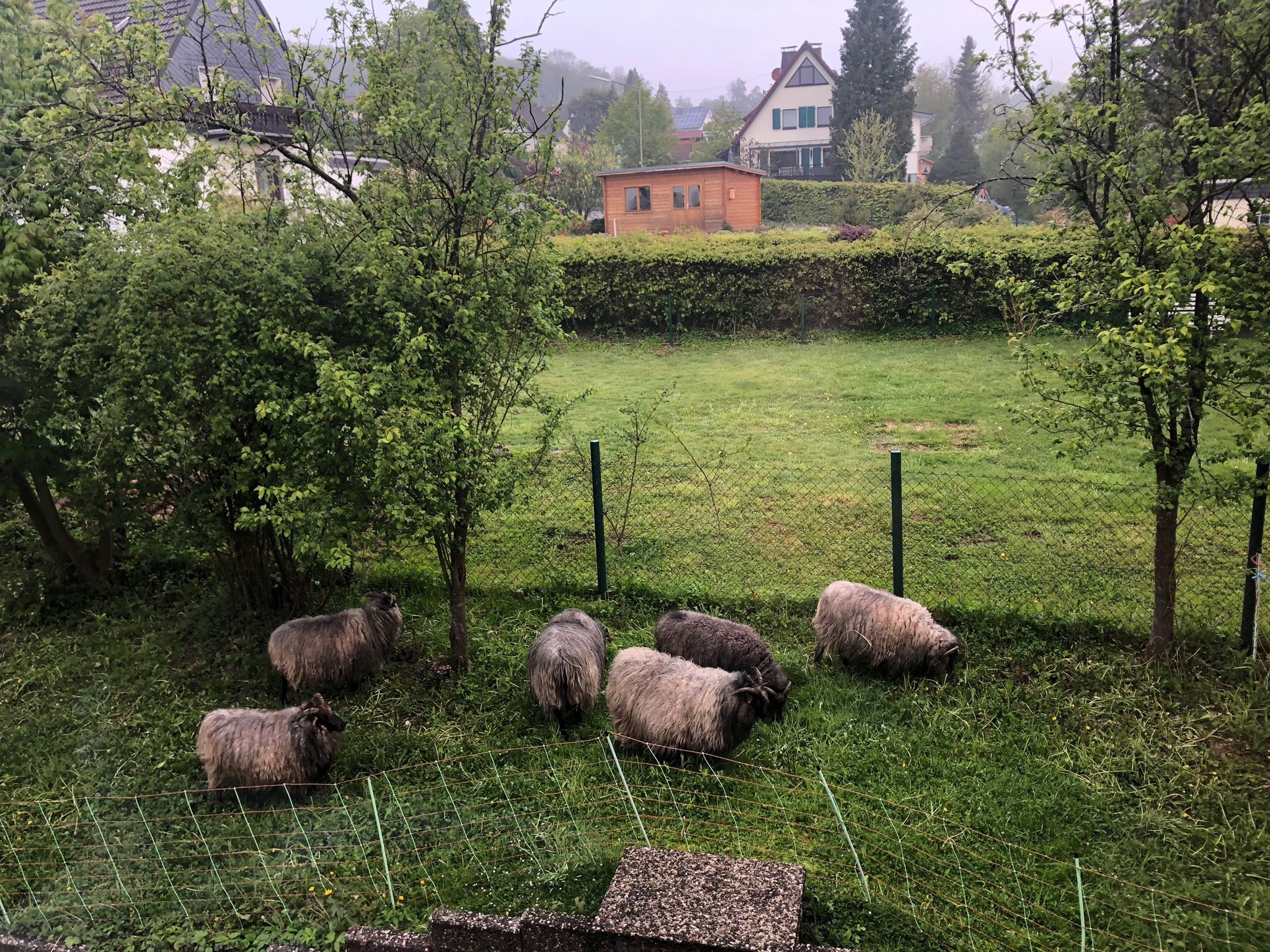 Gasthof Schumacher Hotel Garni-官方