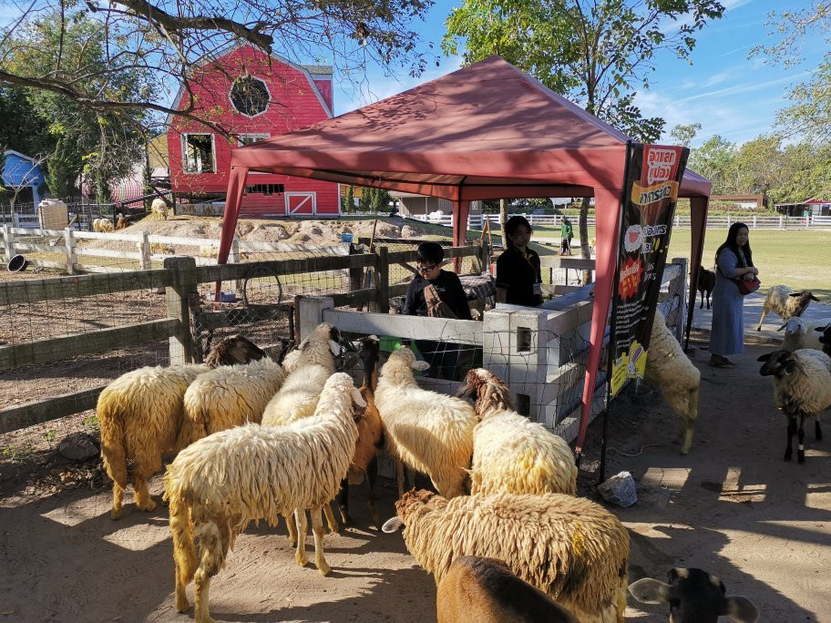 Khao Yai Farm Village景点图片