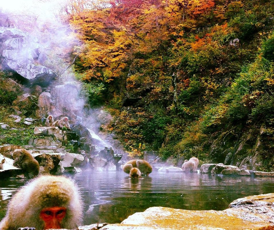 饭山市旅游攻略图片