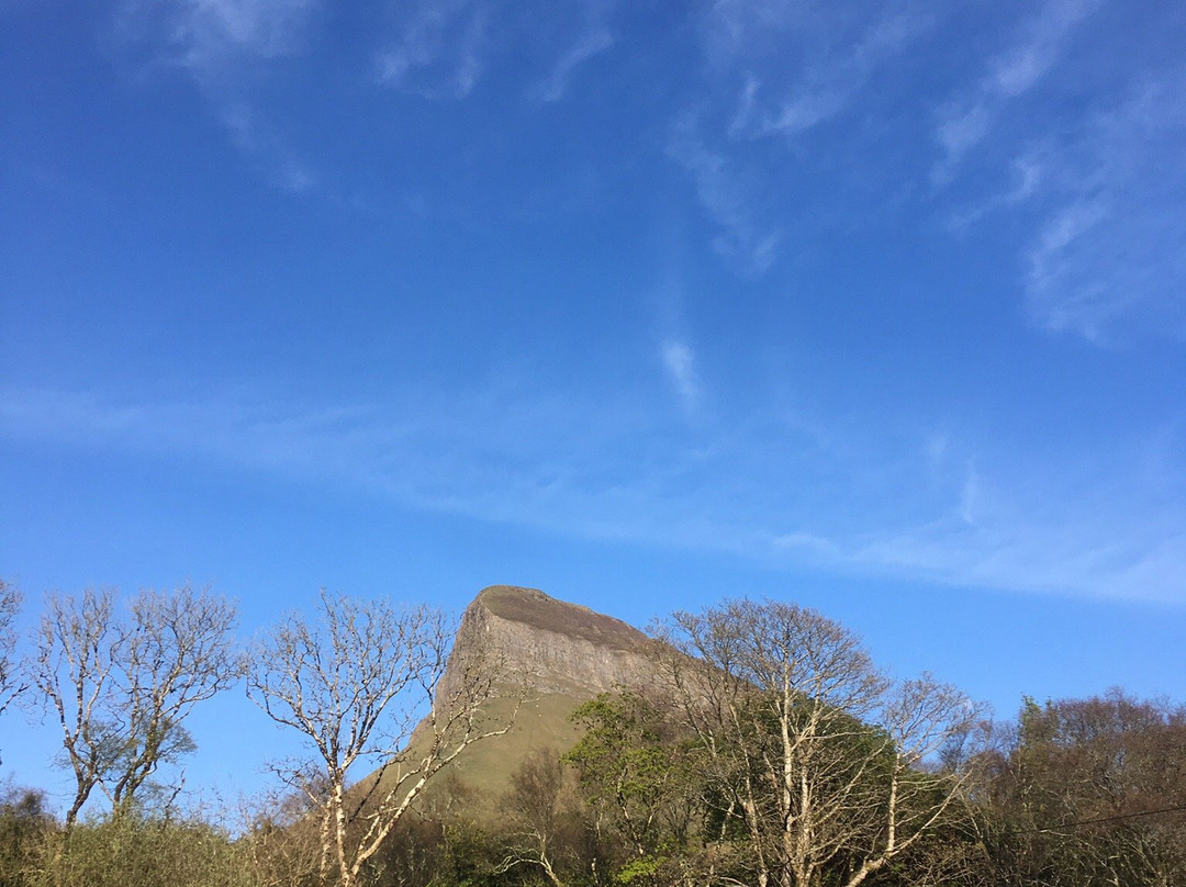 Sligo Courthouse景点图片