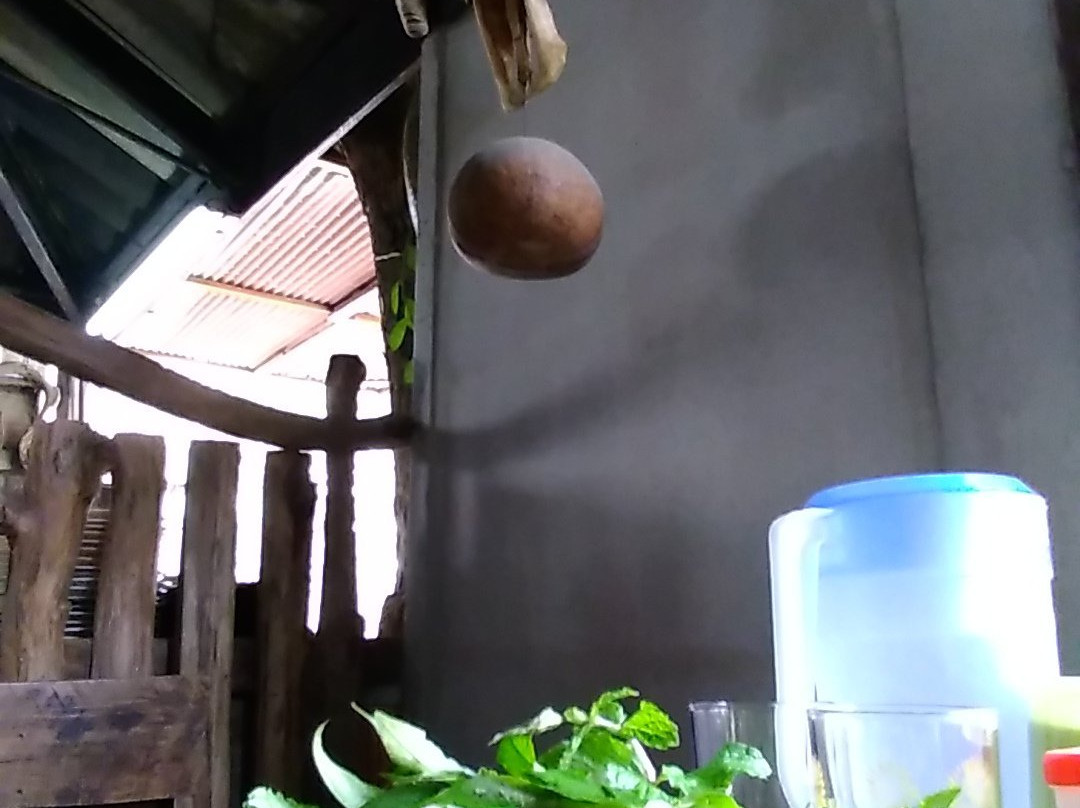 ลาบต้นก้อย